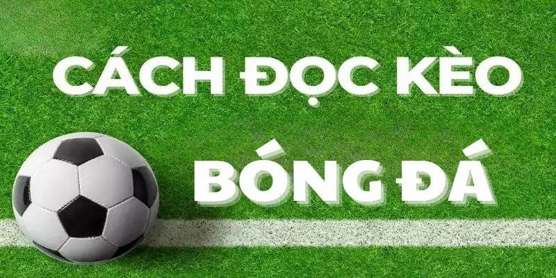 Cách đọc kèo bóng đá châu Á cơ bản nhất Cách đọc kèo bóng đá châu Á cơ bản nhất
