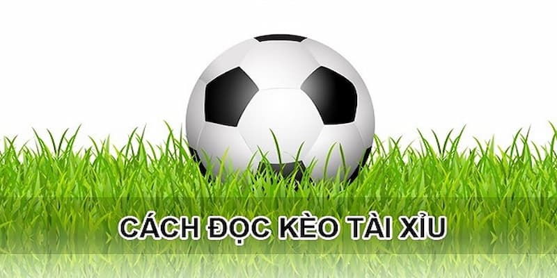 Khám phá cách đọc kèo Tài xỉu đơn giản Khám phá cách đọc kèo Tài xỉu đơn giản